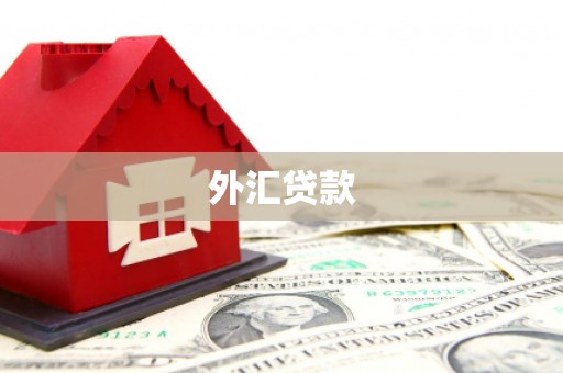 北海外汇贷款