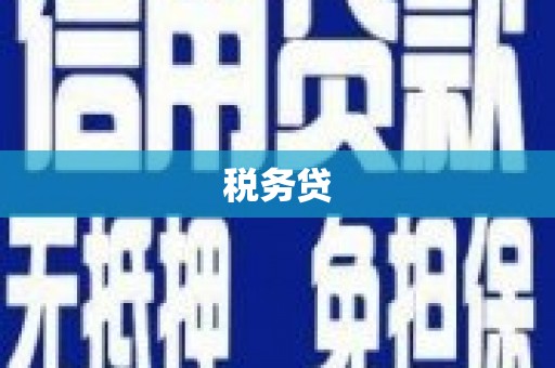 北海税务贷