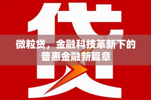 北海微粒贷，金融科技革新下的普惠金融新篇章