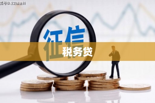北海税务贷