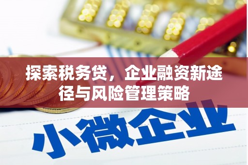 北海探索税务贷，企业融资新途径与风险管理策略