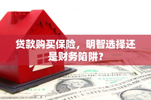 北海贷款购买保险，明智选择还是财务陷阱？