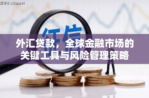北海外汇贷款，全球金融市场的关键工具与风险管理策略