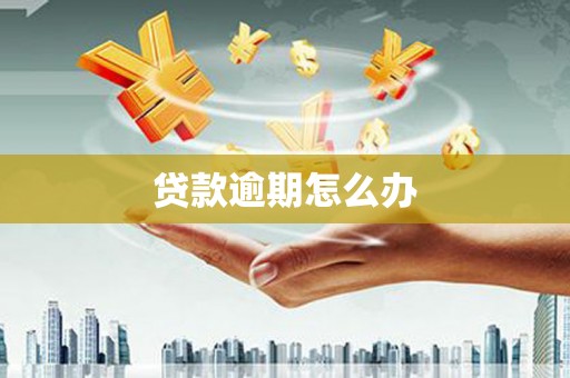北海贷款逾期怎么办