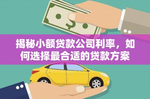 北海揭秘小额贷款公司利率，如何选择最合适的贷款方案