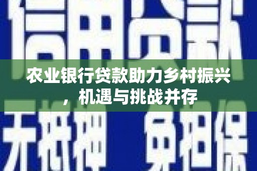 北海农业银行贷款助力乡村振兴，机遇与挑战并存