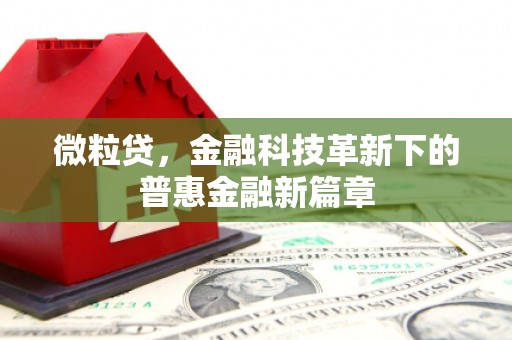 北海微粒贷，金融科技革新下的普惠金融新篇章