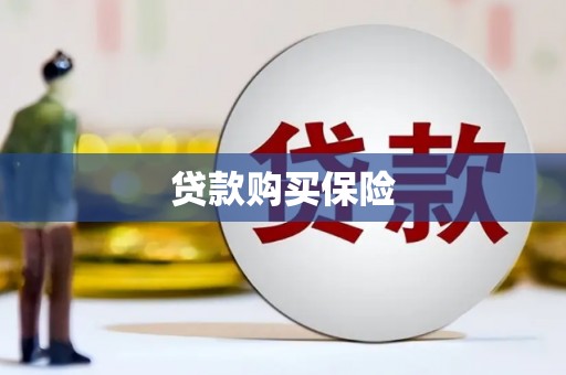 北海贷款购买保险